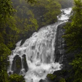 Valara Waterfall Idukki 